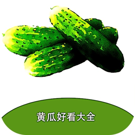 黄瓜阅读