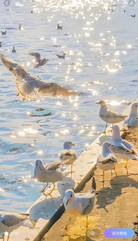 time widget小組件截圖