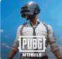 pubg国际服官方版