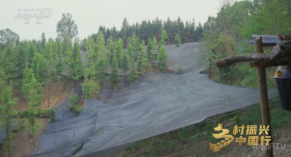 波哥影視TV盒子截圖