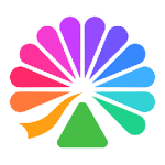 大麥網(wǎng)搶票神器