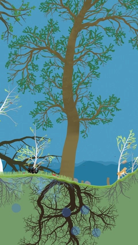 小松林正版截圖