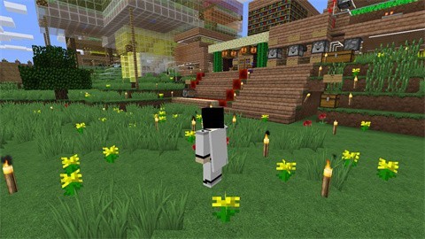 我的世界模擬人生模組截圖