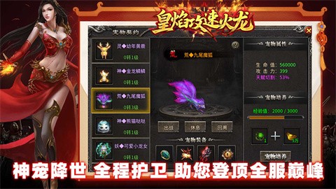 皇焰攻速火龍截圖