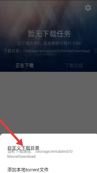 BT下載助手最新版截圖