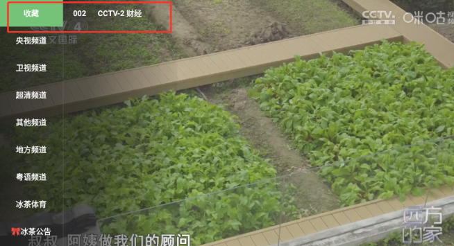 冰茶TV直播截圖