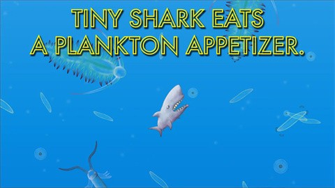 美味深藍(lán)完整版截圖