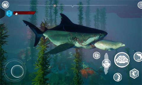 食人鯊Maneater截圖