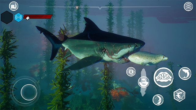 食人鯊直裝版截圖