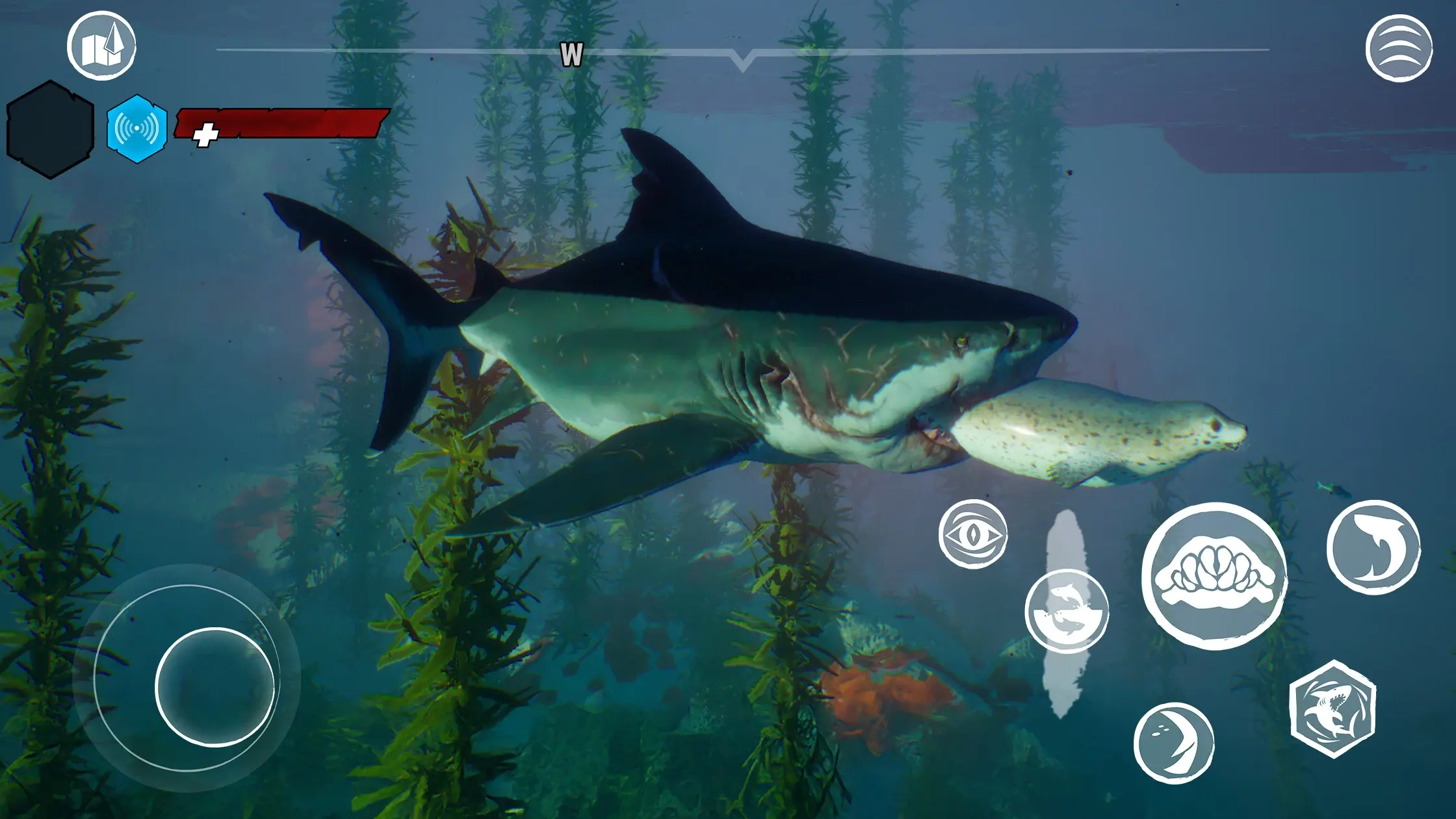 食人鯊正版截圖