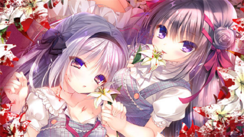 染成紅色的真愛(ài)百合截圖