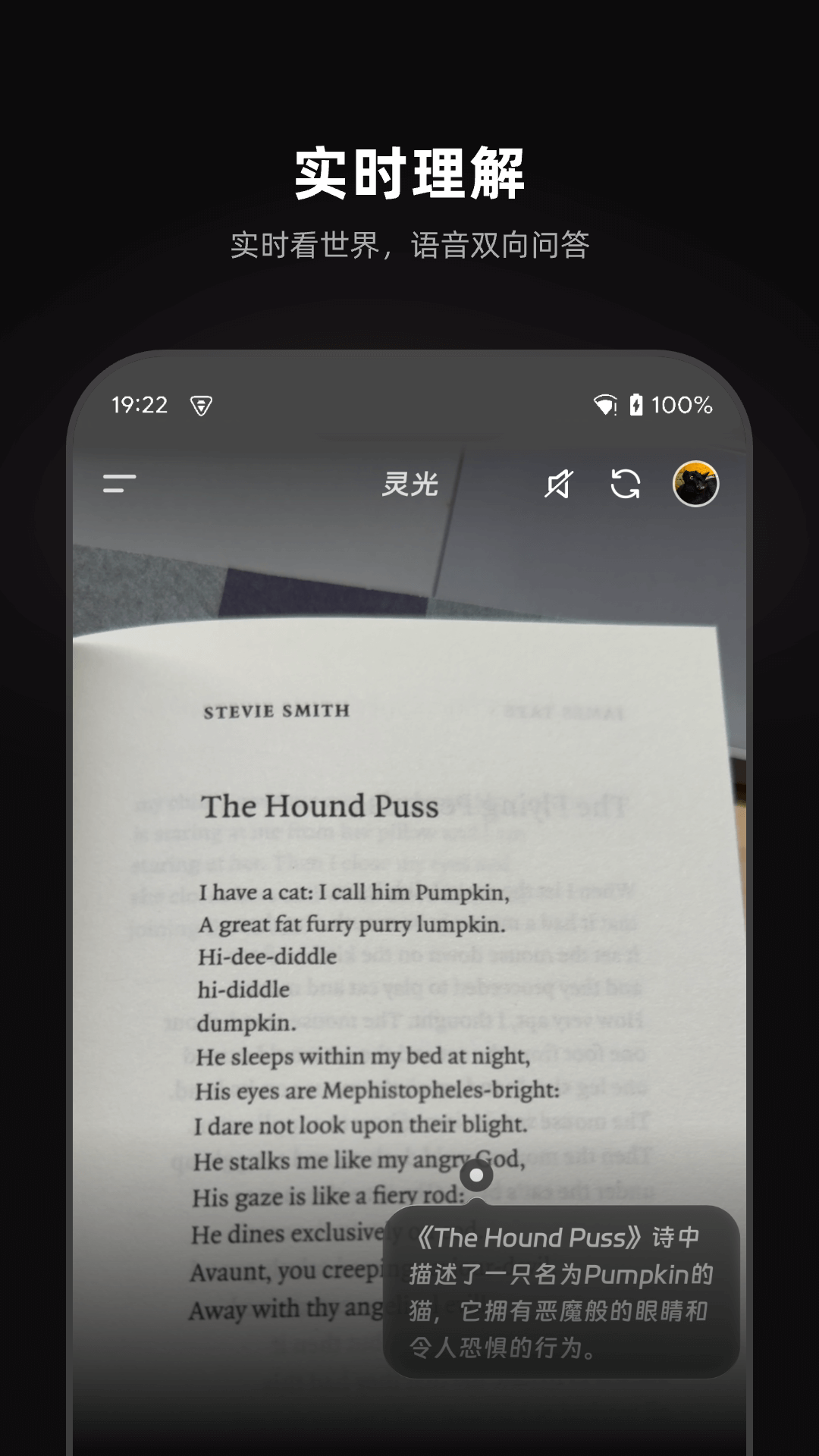 靈光AI智能助手截圖