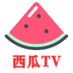 西瓜TV电视