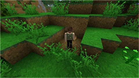 生存戰(zhàn)爭(zhēng)2插件版截圖