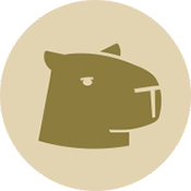 Capy Reader閱讀器