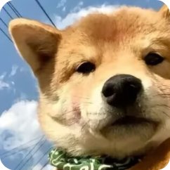 我的世界方可夢之旅模組