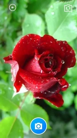 妙手工具箱子截圖