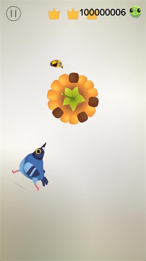 瘋狂的鴿子官方版截圖