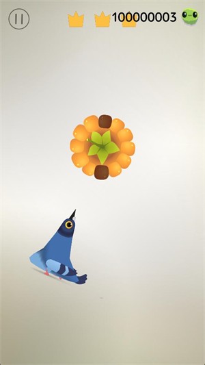 瘋狂的鴿子官方版截圖