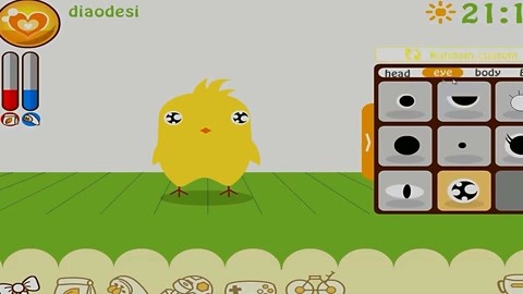 養(yǎng)只小黃雞