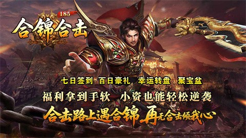 合錦合擊185截圖