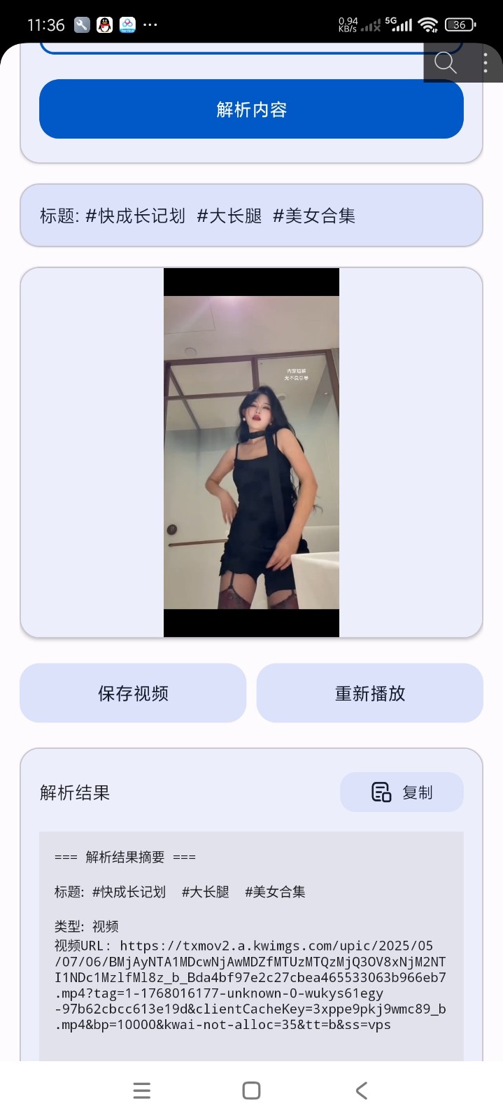 視頻解析器截圖