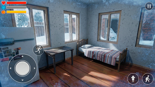 我的冬季汽車漢化版截圖