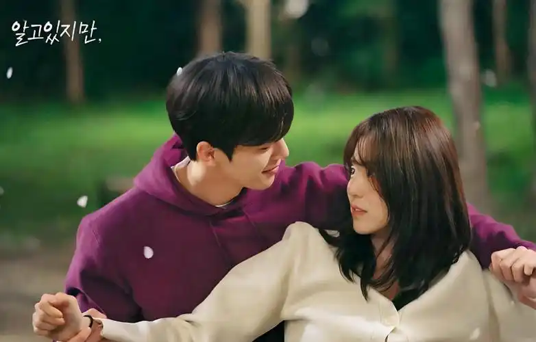 免費(fèi)追韓劇