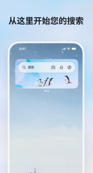 必應(yīng)瀏覽器國(guó)際版截圖