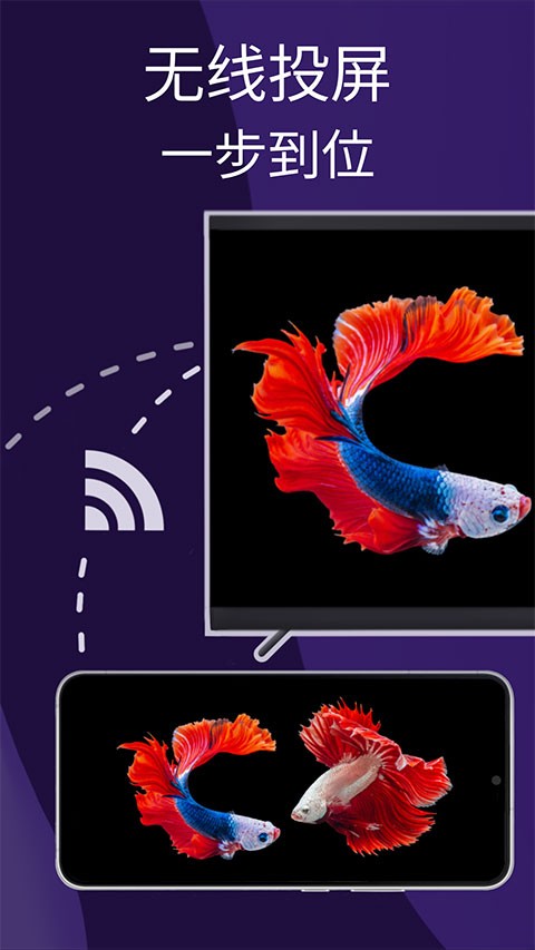 雨燕投屏免費版截圖
