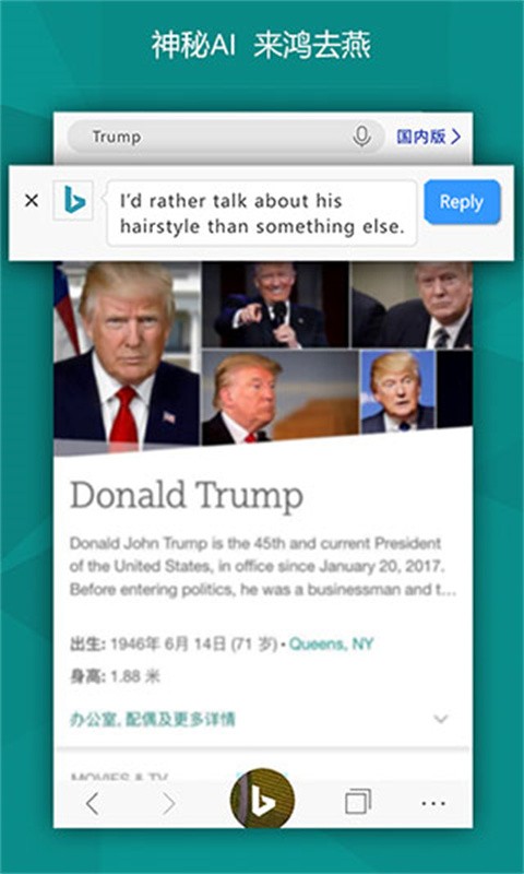 BING搜索國內(nèi)版截圖