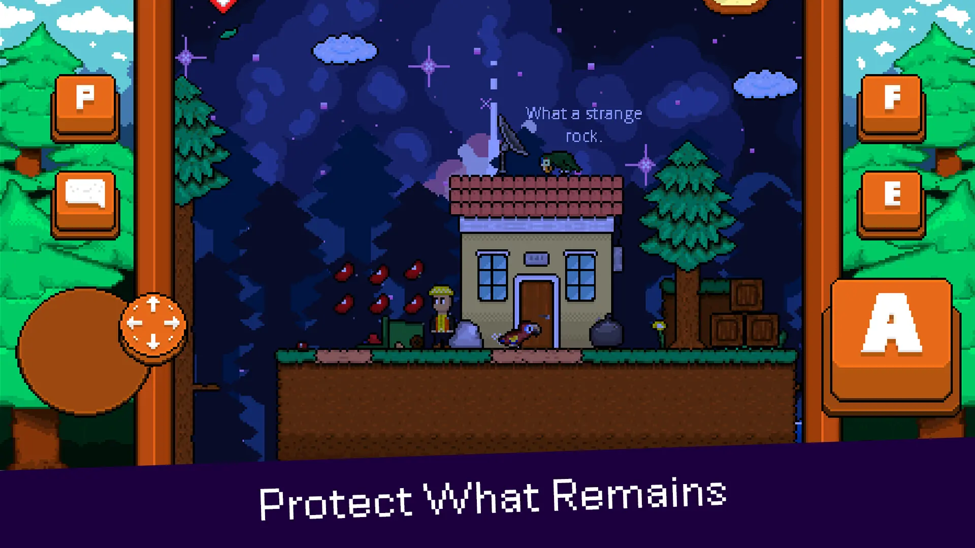 最后的金剛鸚鵡截圖