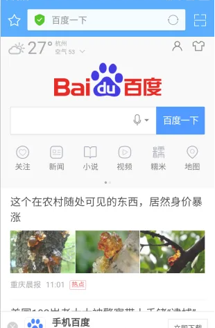獵鷹瀏覽器升級版截圖