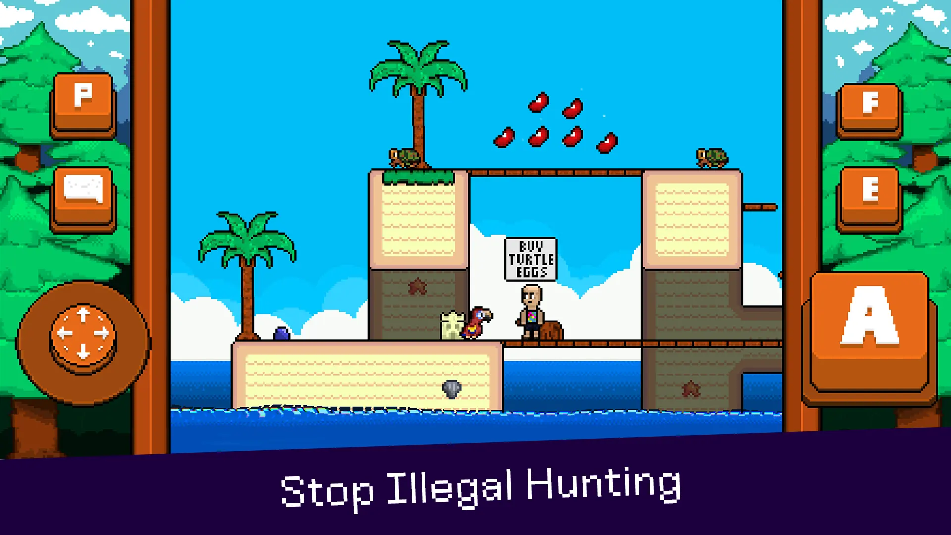 最后的金剛鸚鵡截圖