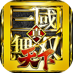 真三國(guó)無(wú)雙天下