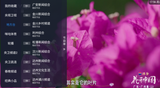 濤濤TV電視直播截圖