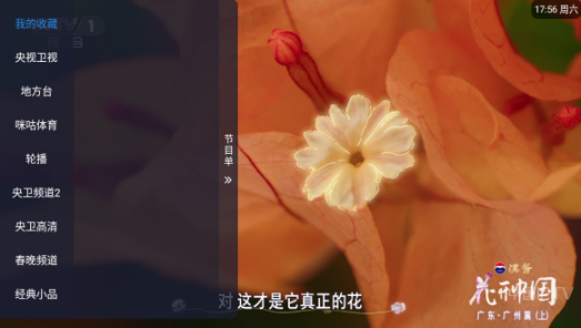 濤濤TV電視直播截圖