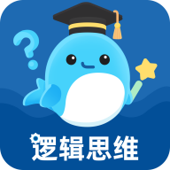 邏輯思維訓(xùn)練