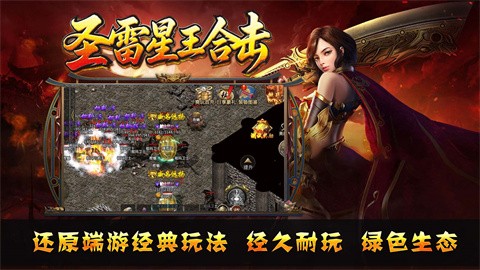 圣雷星王合擊截圖