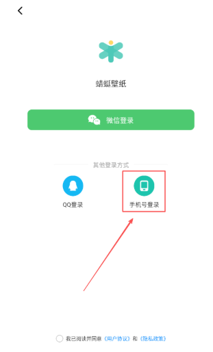 蜻蜓壁紙最新版截圖