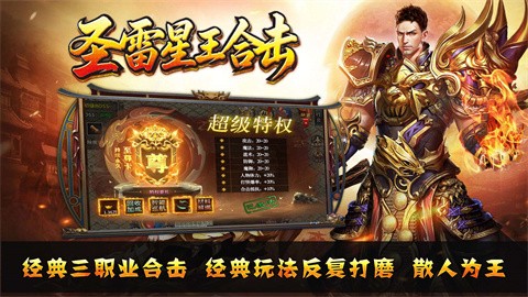 圣雷星王合擊截圖