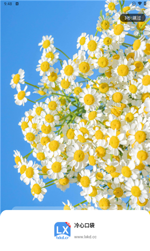 冷心口袋1.16截图