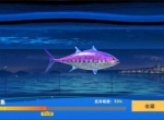 釣魚巨物獵手2026最新兌換碼分享