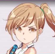 寶可夢迷之規(guī)則漢化版