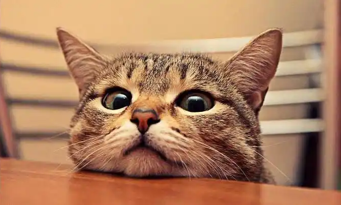 提升圖片清晰度