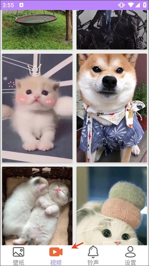 星空壁紙動態(tài)壁紙截圖