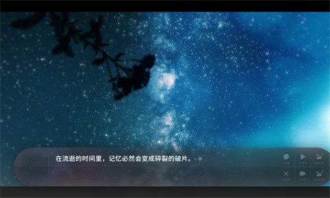 夏末盛開的花截圖