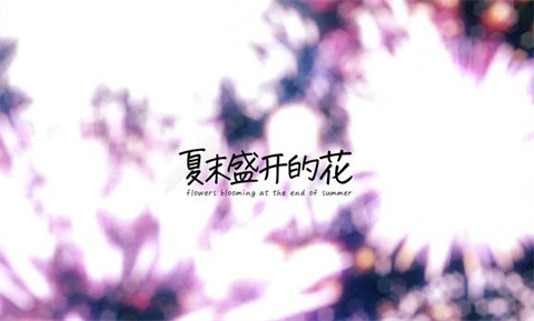 夏末盛開的花截圖