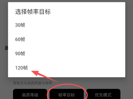 秘閣畫質助手120幀截圖