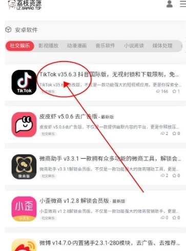 荔枝資源庫(kù)合集截圖